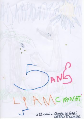 Dessin de Liam