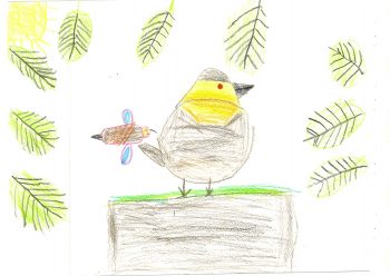 Dessin de Alexandre