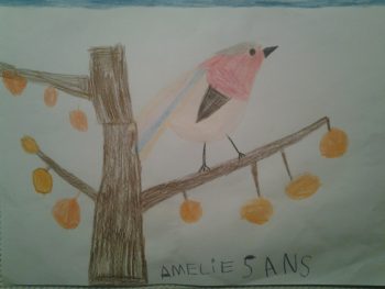 Dessin de Amelie