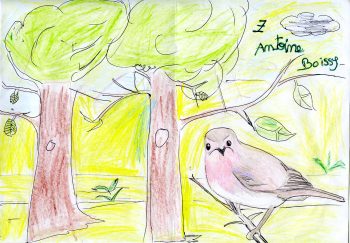 Dessin de Antoine