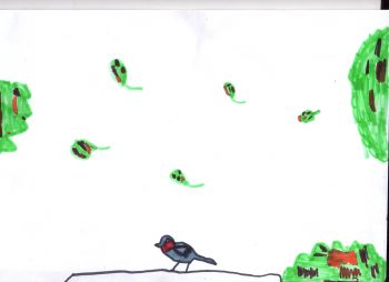 Dessin de Célian