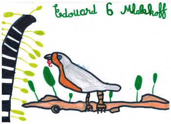 Dessin de Edouard