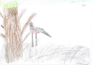 Dessin de Léo