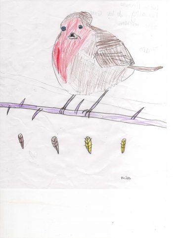 Dessin de Lucien