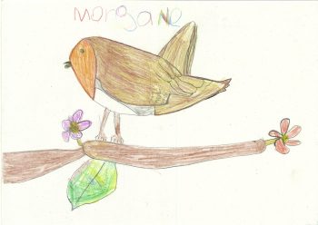 Dessin de Morgane