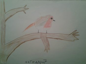 Dessin de Nathan
