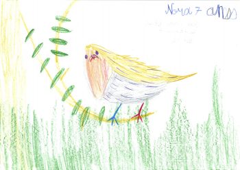 Dessin de Nora