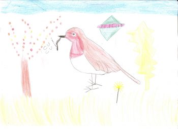 Dessin de Zohra