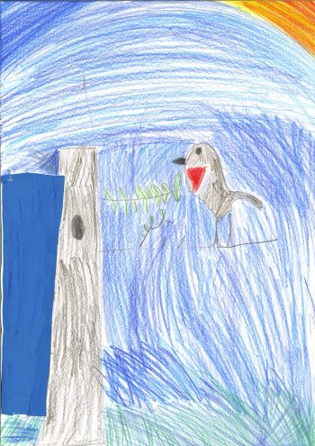 Dessin de Aurore