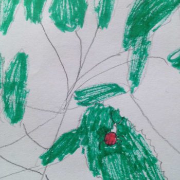 Dessin de Marguerite