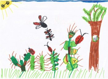 Dessin de Myrtille