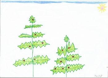 Dessin de Tess