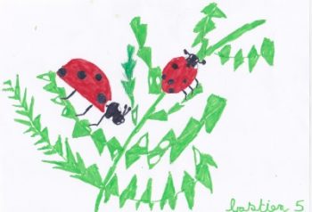 Dessin de Bastien
