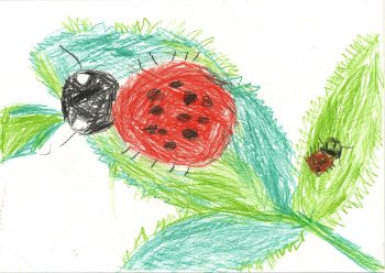 Dessin de Charlélie