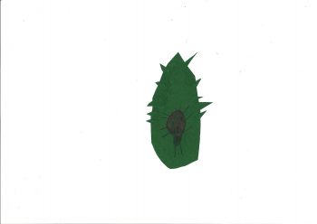 Dessin de Alexis