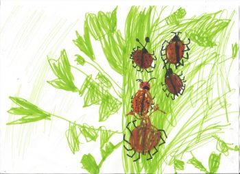 Dessin de Mayssa