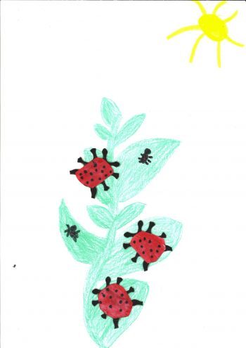 Dessin de Eléa