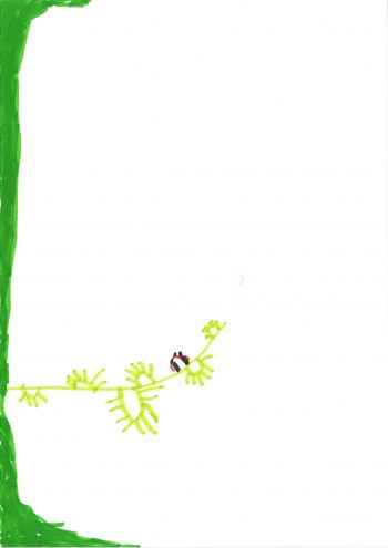 Dessin de Etan