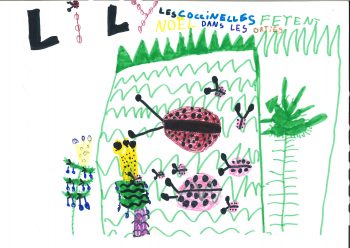Dessin de Lily