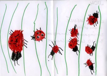 Dessin de Lucas