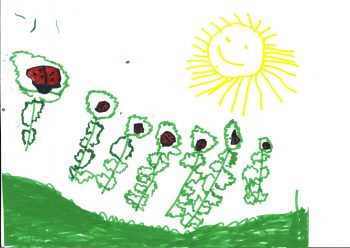 Dessin de Mahé
