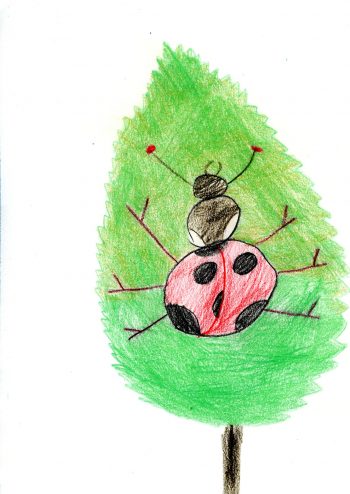 Dessin de Nell