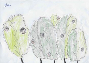 Dessin de Olivier