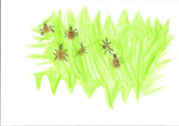 Dessin de Philippe