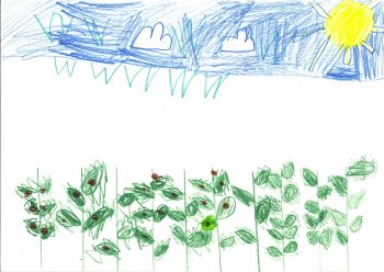 Dessin de Sofia