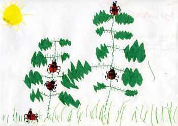 Dessin de Sylvère