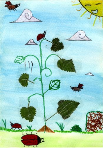 Dessin de Clara