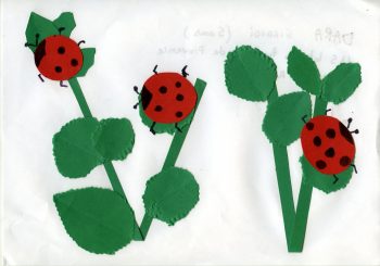 Dessin de Dara