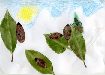 Dessin de Elie