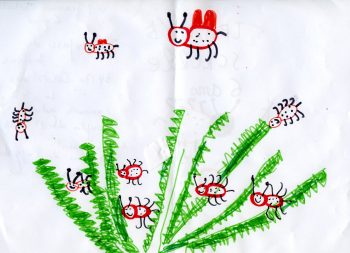 Dessin de Jeanne