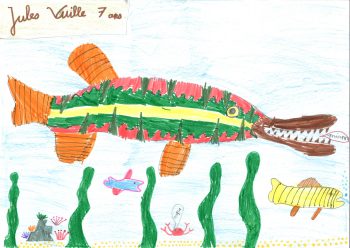 Dessin de Jules