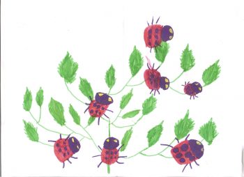 Dessin de Lilou