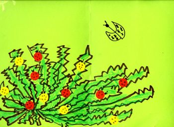 Dessin de Louison