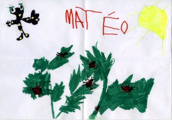 Dessin de Mateo