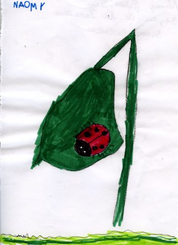 Dessin de Naomi