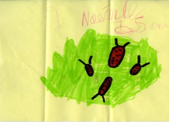 Dessin de Noémie