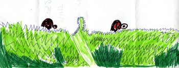 Dessin de Pierre