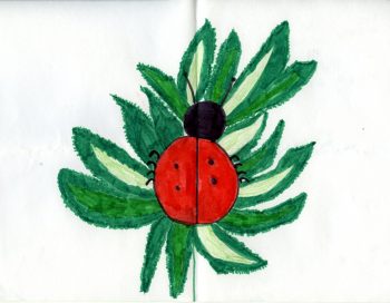 Dessin de Rose