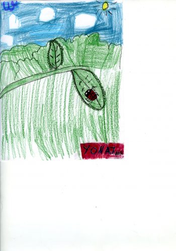 Dessin de Yona
