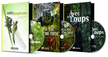 3 dvd