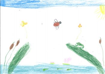 Dessin de Diego