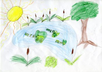 Dessin de Matteo