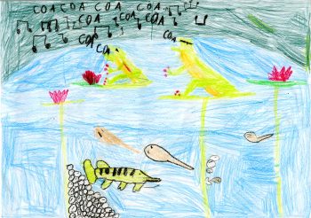 Dessin de Matthieu et Raphaëlle