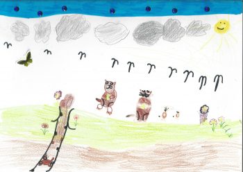 Dessin de Garance