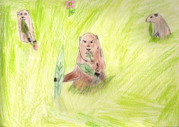 Dessin de Hanna