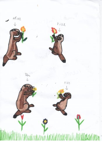 Dessin de Noa